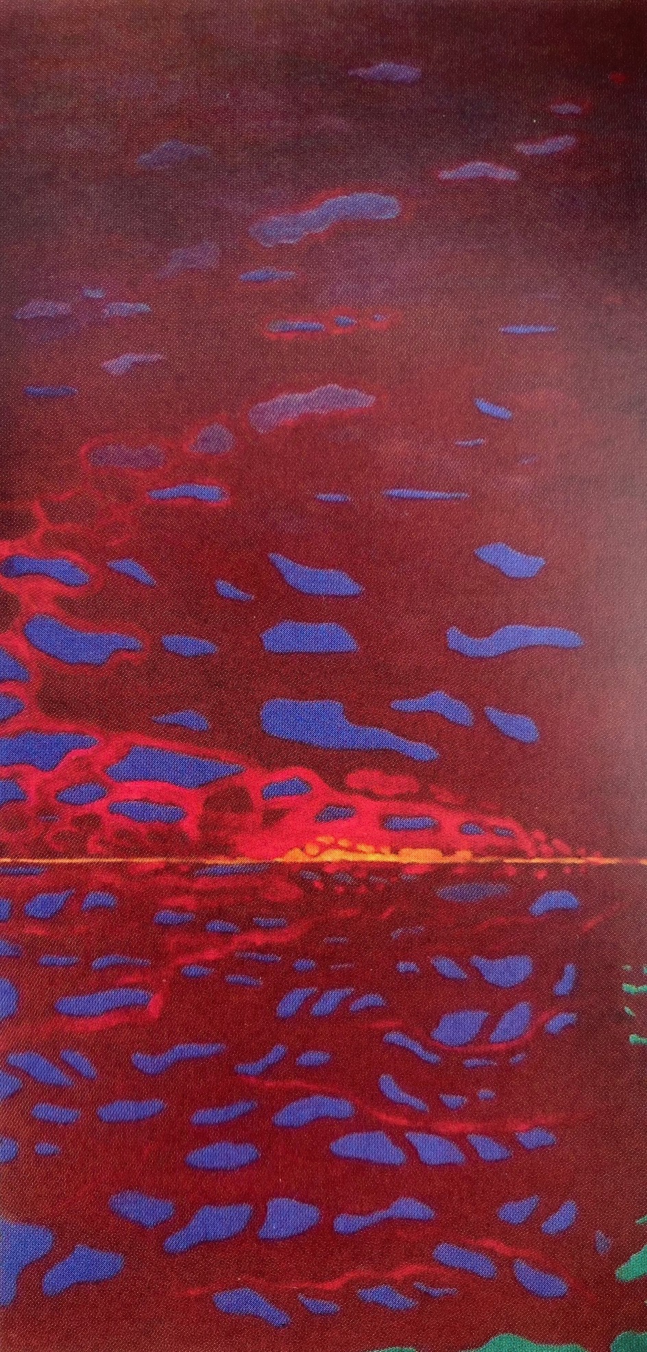Avondrood II, 2003 - olieverf op paneel, 96 x 47 cm,particuliere collectie