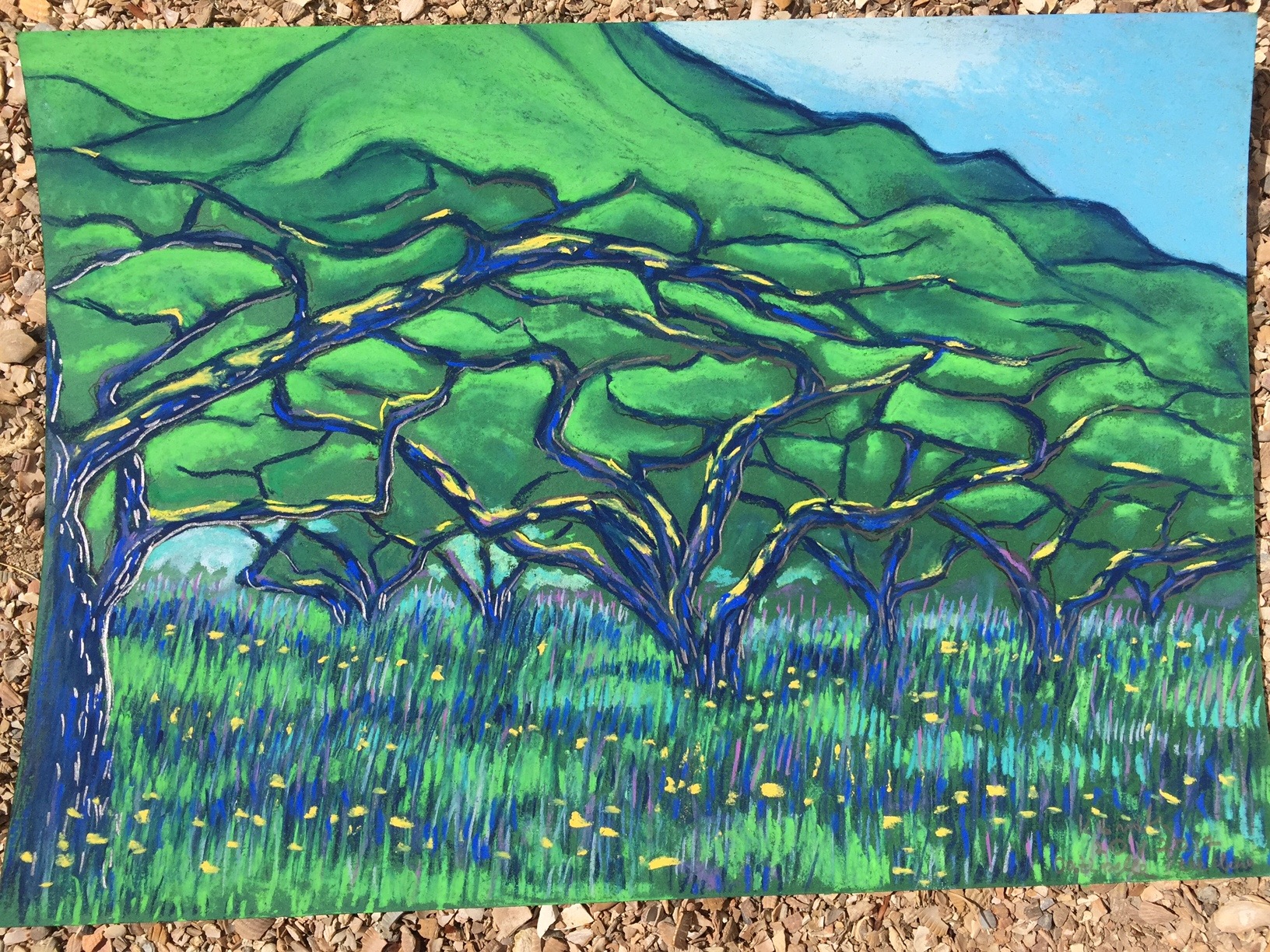 Appelboomgaard Zeeduin, 2009 - pastel op papier, particuliere collectie