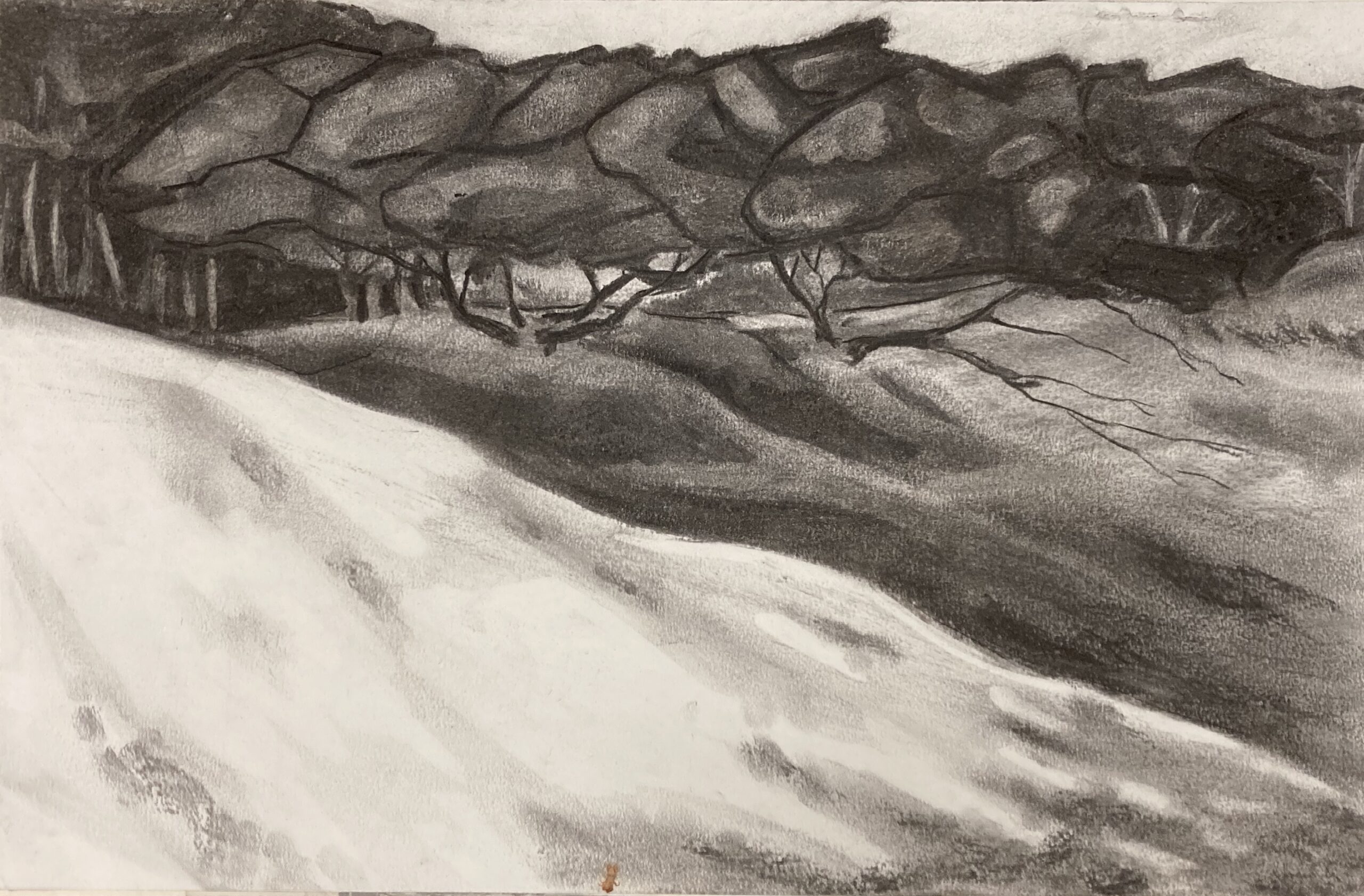 Luwte in de duinen, 2011 - houtskool op papier, 32 x 50 cm