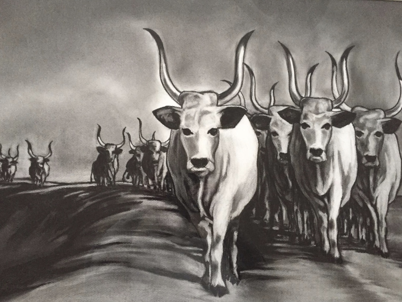 Ossenserie, 2014 - houtskool op papier, 60 x 85 cm, particuliere collectie