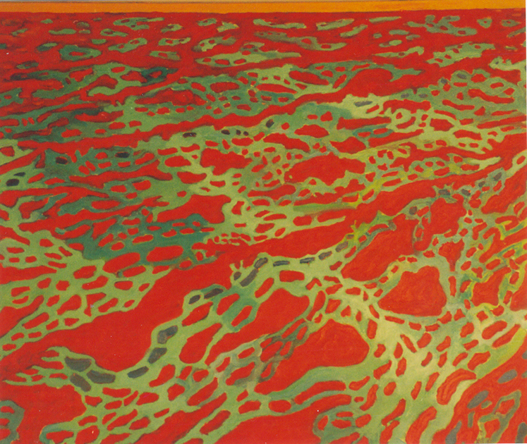 Zonder titel, 2003 - olieverf op doek, 90 x 110 cm, particuliere collectie